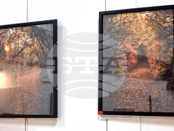 Монтана - Милен Цветанов - благотворителна изложба