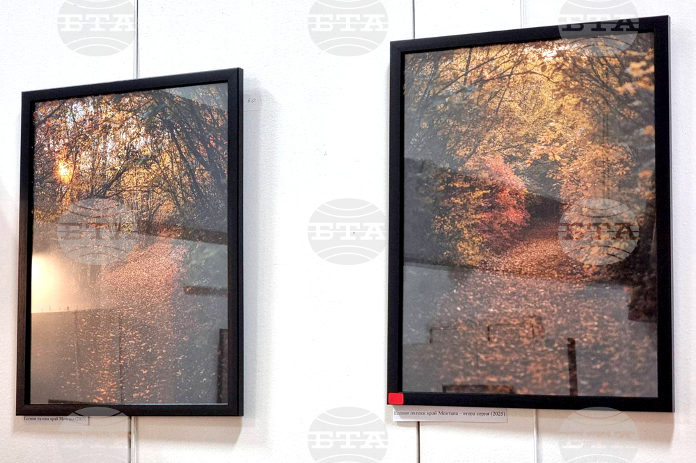 Монтана - Милен Цветанов - благотворителна изложба