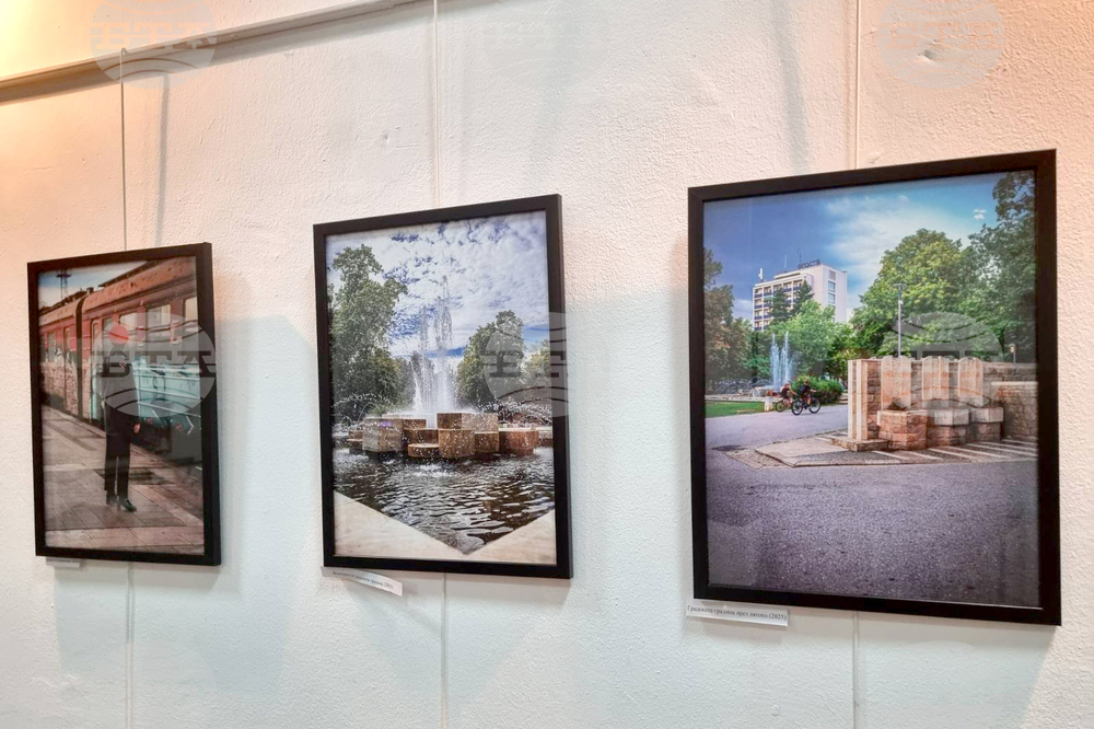 Монтана - Милен Цветанов - благотворителна изложба