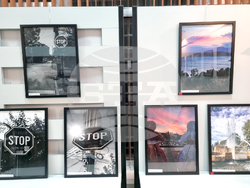 Монтана - Милен Цветанов - благотворителна изложба