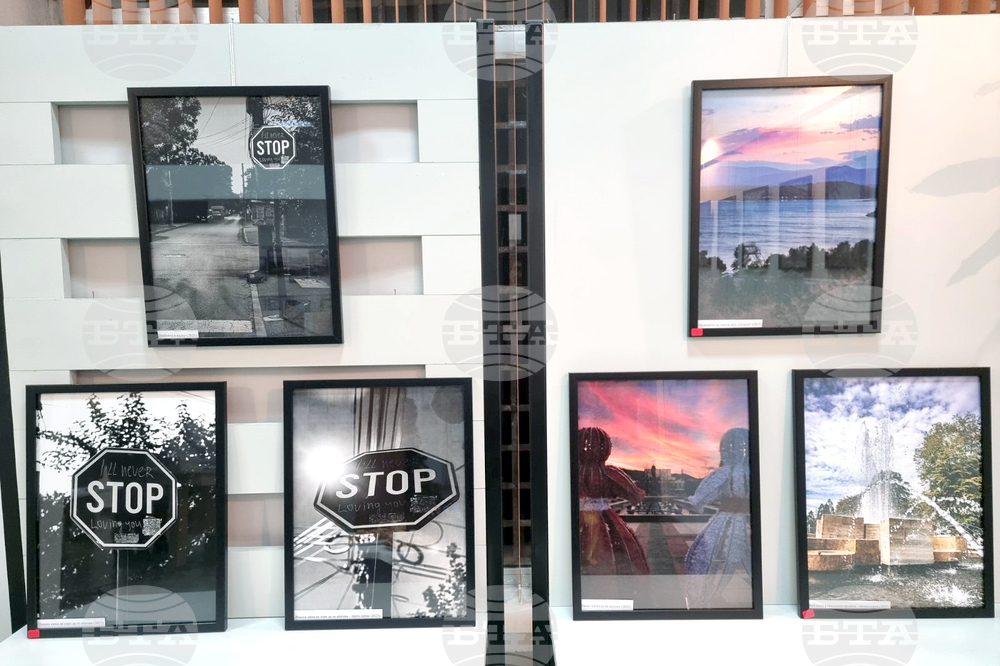 Монтана - Милен Цветанов - благотворителна изложба