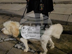 Панагюрище - протест