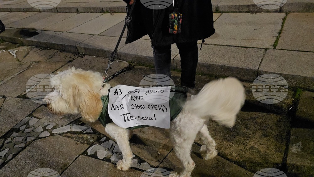 Панагюрище - протест