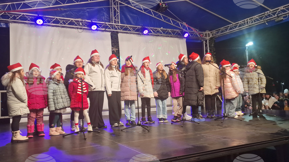 Разград - коледна елха - празнични светлини