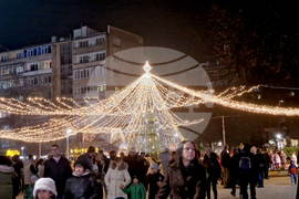 Разград - коледна елха - празнични светлини