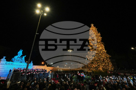 Italy Christmas Tree