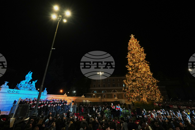 Italy Christmas Tree