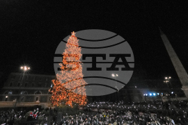 Italy Christmas Tree