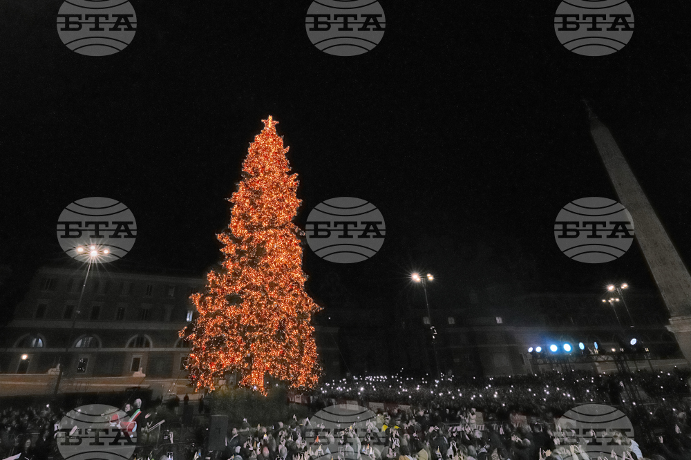 Italy Christmas Tree