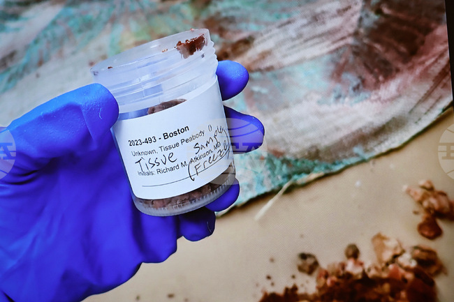 Walshe court pool images six images