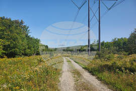 Black Mountain Crack Climbing