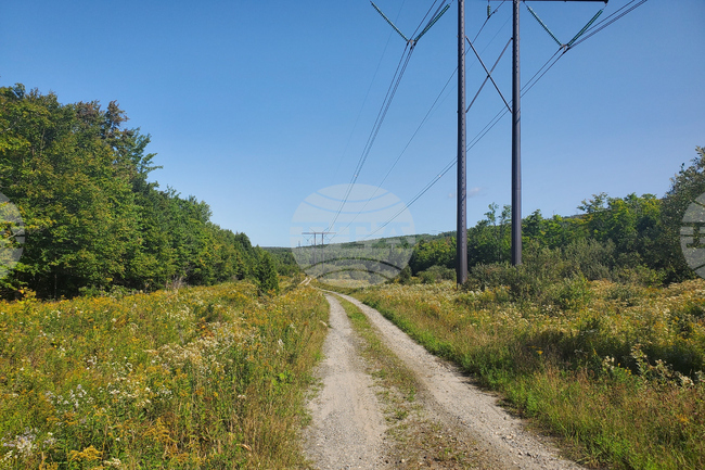 Black Mountain Crack Climbing