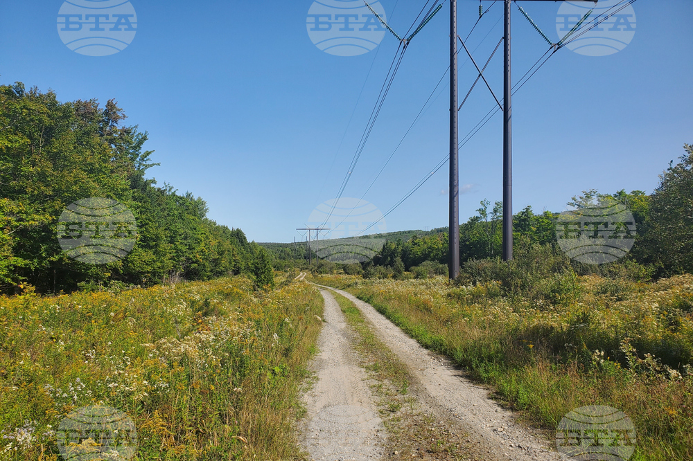 Black Mountain Crack Climbing