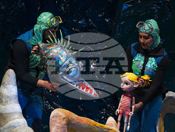 Пловдив - спектакъл „Пук“ - предпремиера