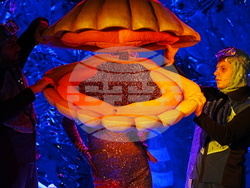 Пловдив - спектакъл „Пук“ - предпремиера