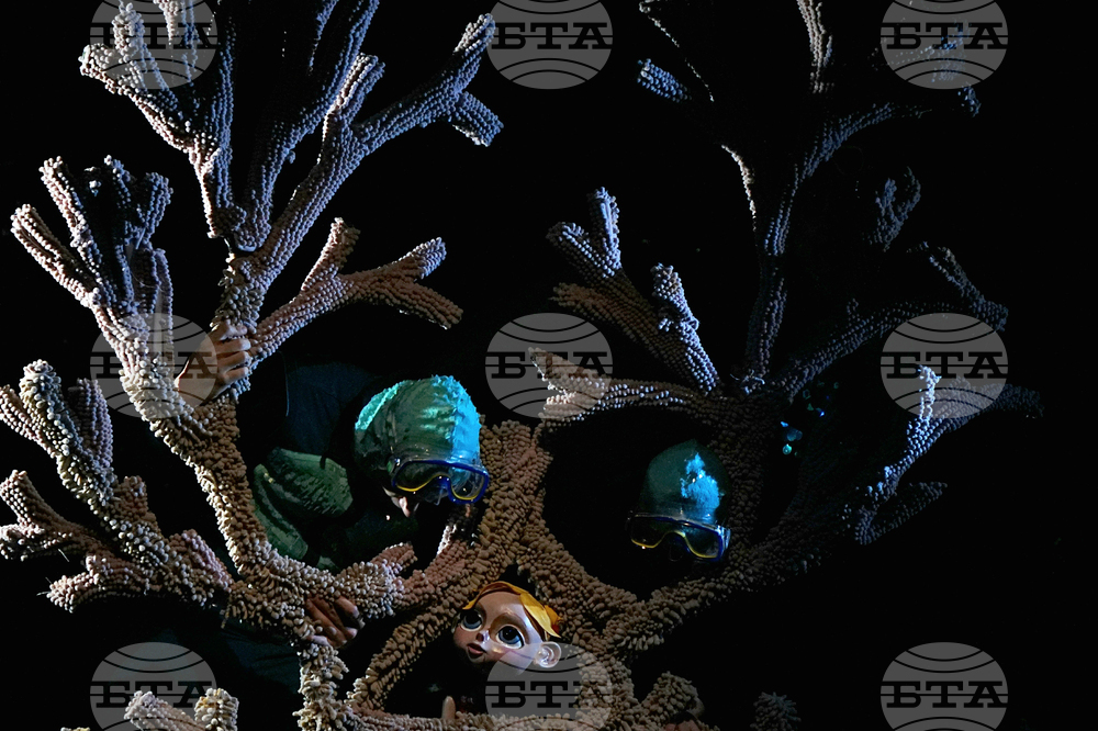 Пловдив - спектакъл „Пук“ - предпремиера