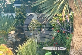 Gardening-Creating a Sanctuary