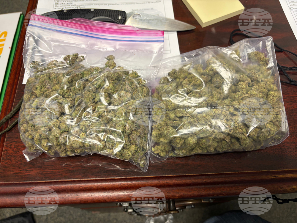 Contraband Christmas Crab