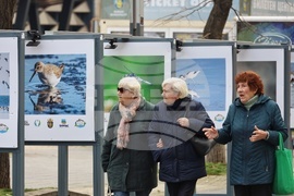 Бургас - Международен ден на влажните зони - фотоизложба