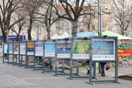 Бургас - Международен ден на влажните зони - фотоизложба