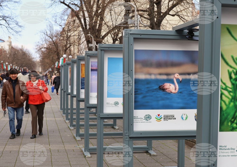 Бургас - Международен ден на влажните зони - фотоизложба