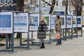 Бургас - Международен ден на влажните зони - фотоизложба