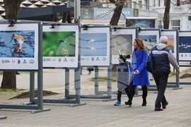 Бургас - Международен ден на влажните зони - фотоизложба