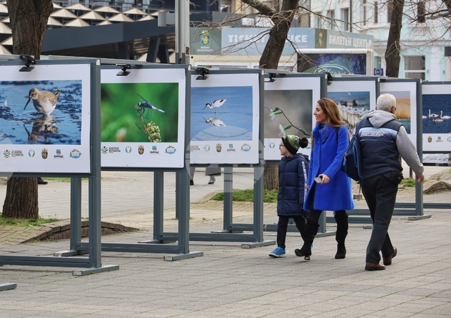 Бургас - Международен ден на влажните зони - фотоизложба
