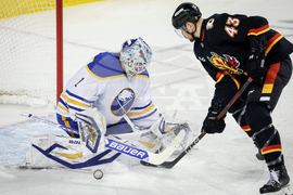 Sabres Flames Hockey