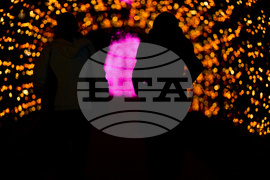 Tennessee Daily Life Holiday Lights