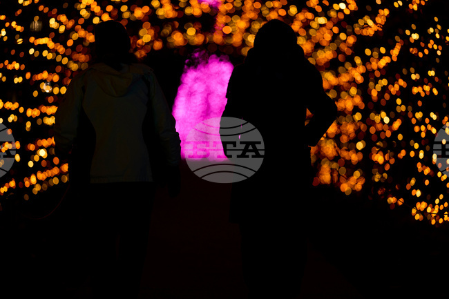 Tennessee Daily Life Holiday Lights