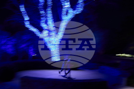 Tennessee Daily Life Holiday Lights