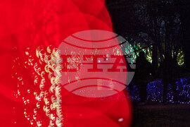 Tennessee Daily Life Holiday Lights