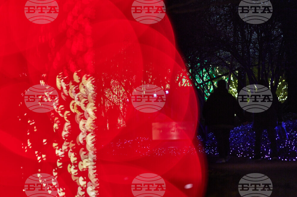 Tennessee Daily Life Holiday Lights