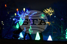 Tennessee Daily Life Holiday Lights