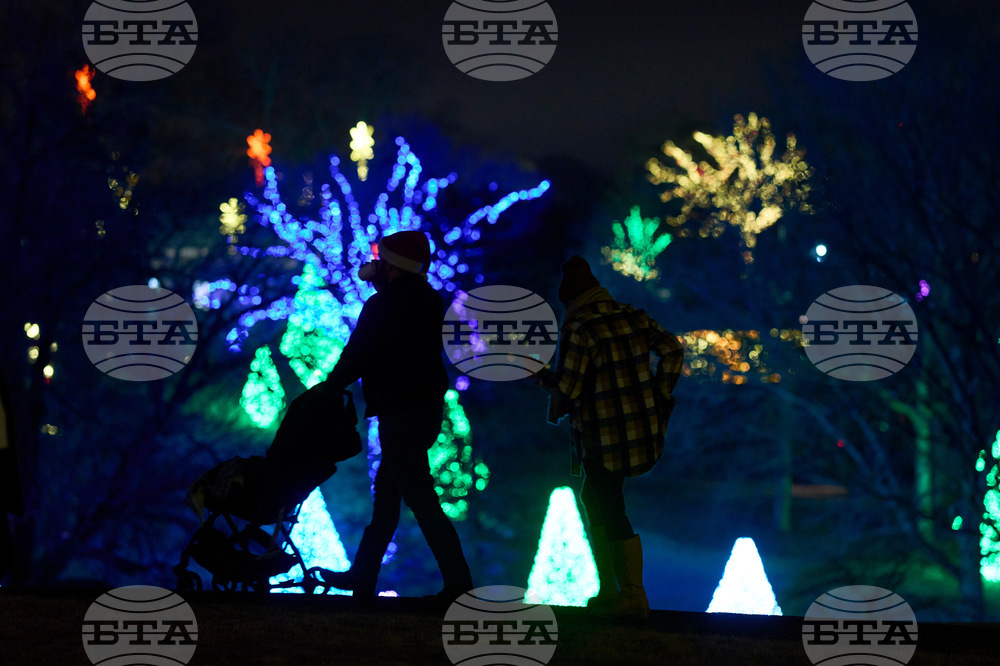 Tennessee Daily Life Holiday Lights