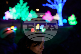 Tennessee Daily Life Holiday Lights