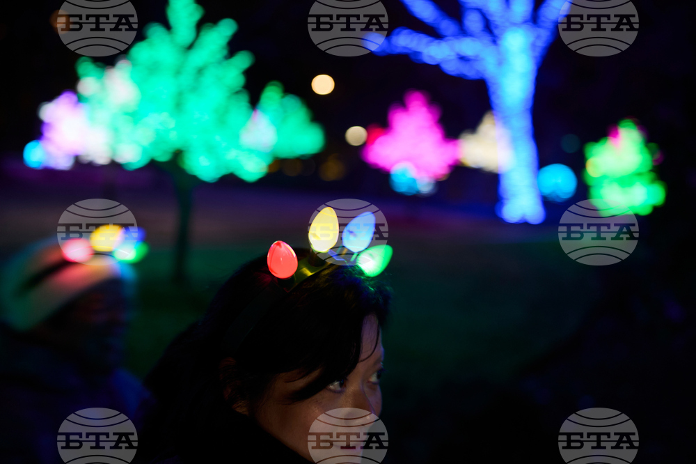 Tennessee Daily Life Holiday Lights