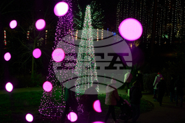 Tennessee Daily Life Holiday Lights