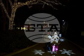 Tennessee Daily Life Holiday Lights