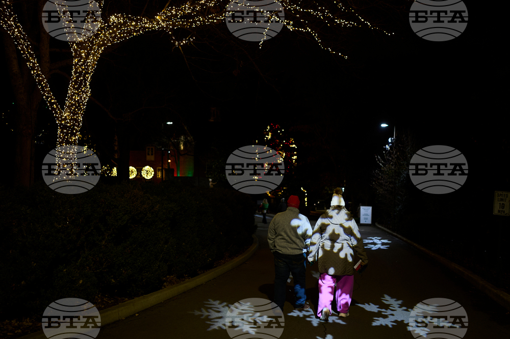 Tennessee Daily Life Holiday Lights