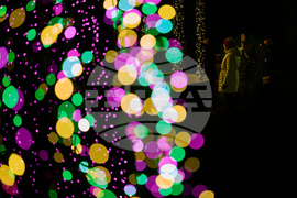 Tennessee Daily Life Holiday Lights