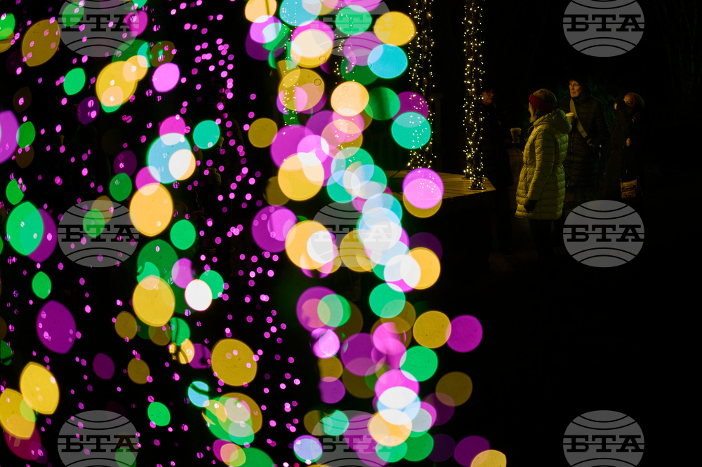 Tennessee Daily Life Holiday Lights