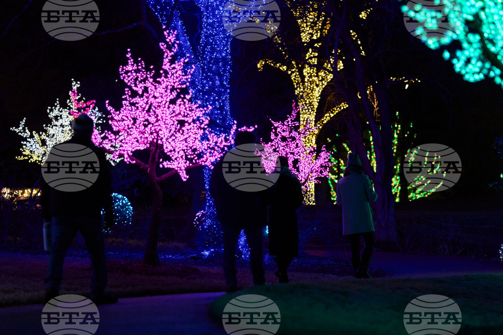 Tennessee Daily Life Holiday Lights