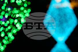 Tennessee Daily Life Holiday Lights