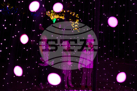 Tennessee Daily Life Holiday Lights