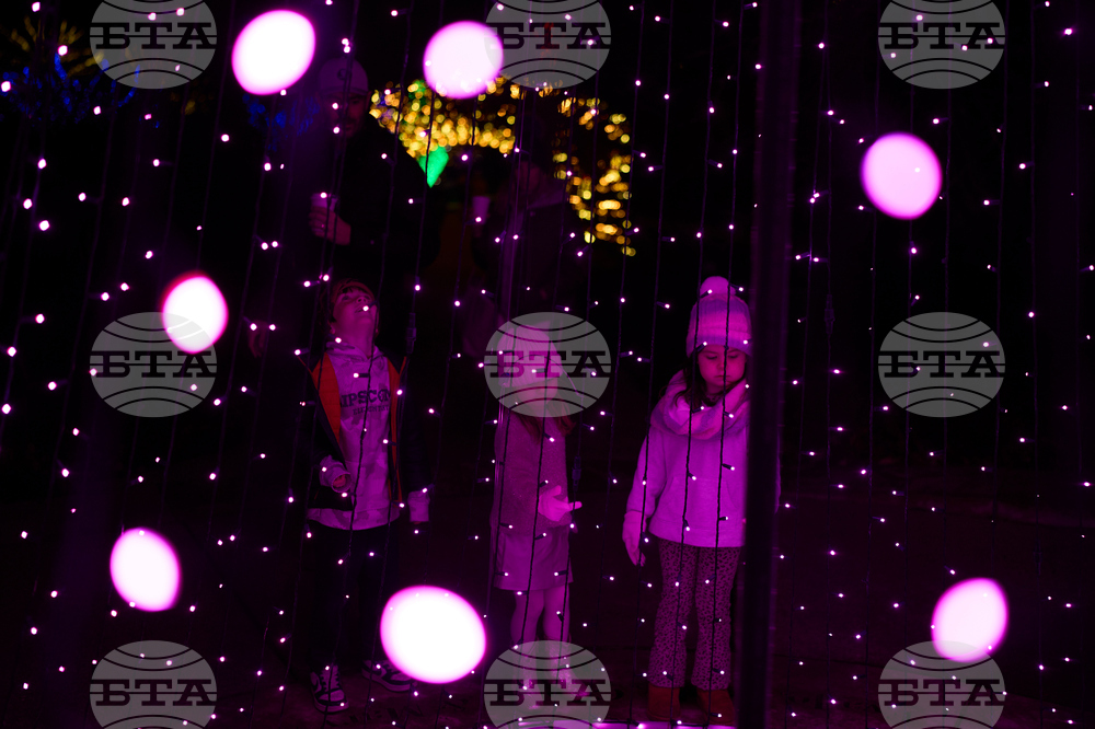 Tennessee Daily Life Holiday Lights