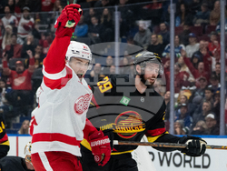 Red Wings Canucks Hockey