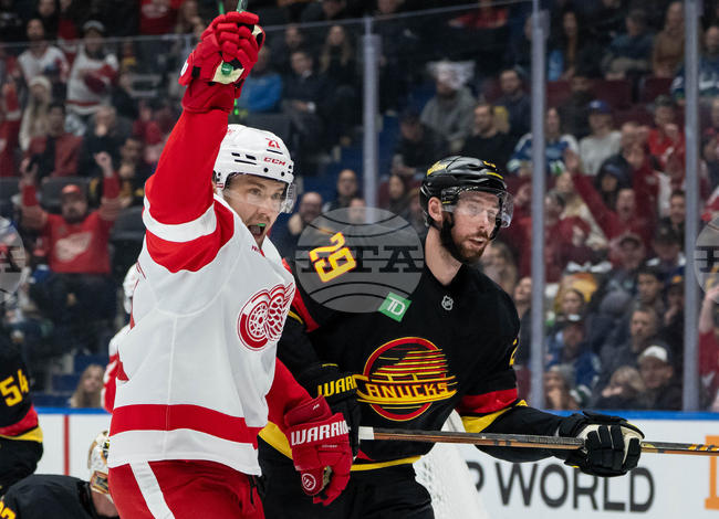 Red Wings Canucks Hockey