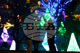 Tennessee Daily Life Holiday Lights